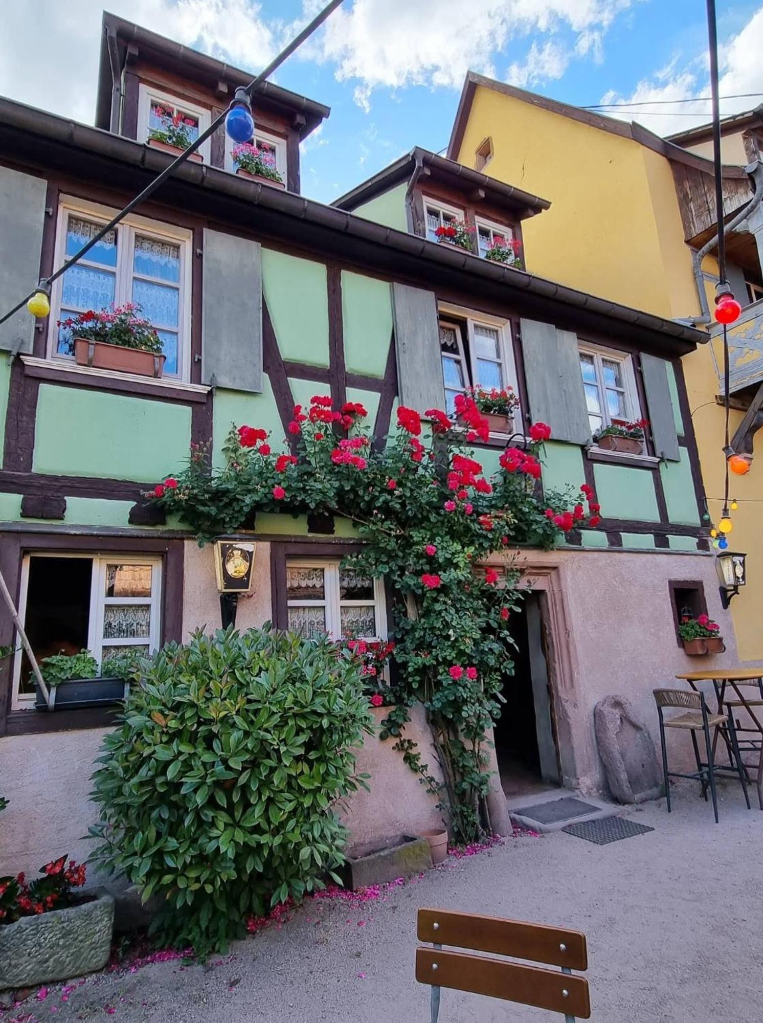Le Gambrinus Chambres D'Hotes Et Restaurant Beblenheim Zewnętrze zdjęcie